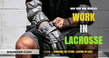 Lacrosse Arm Mechanics: Understanding Muscles for Powerful Shots and Passes