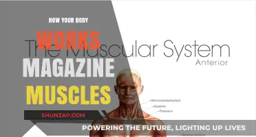 Unveiling Muscle Mysteries: How Your Body Works Magazine Explains
