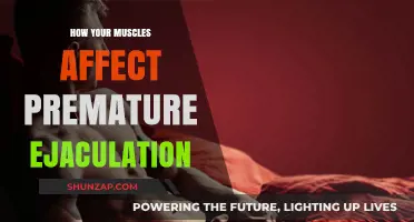 Understanding the Role of Muscles in Premature Ejaculation