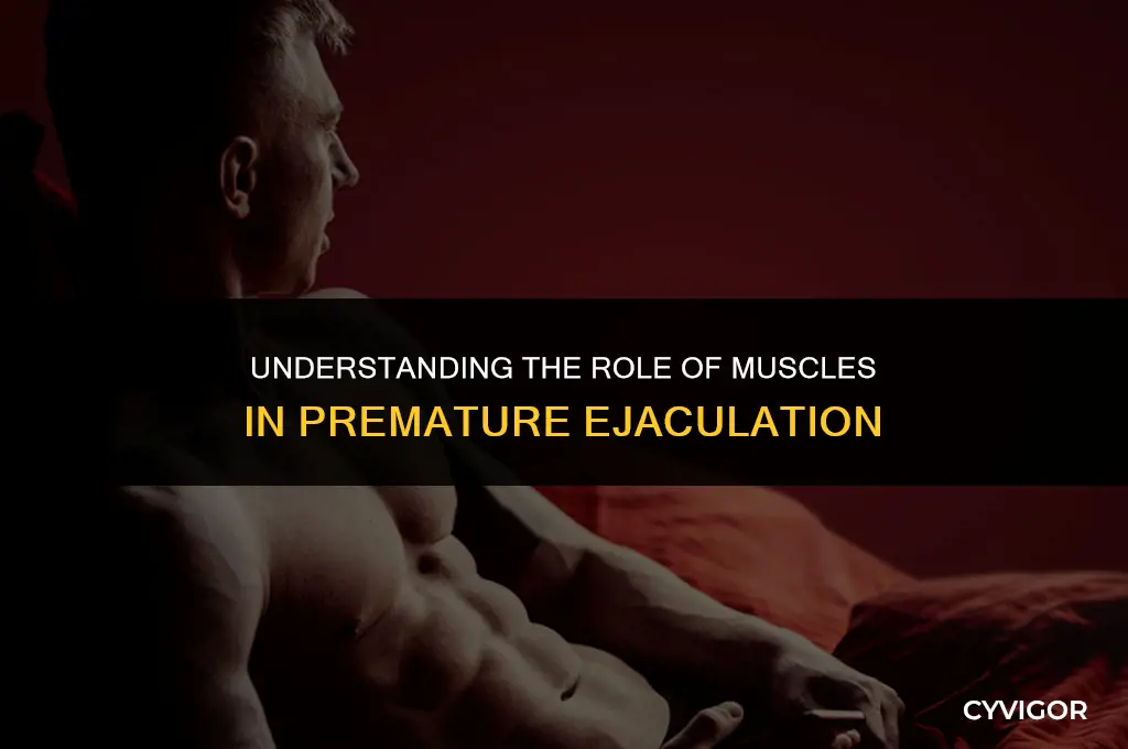 how your muscles affect premature ejaculation