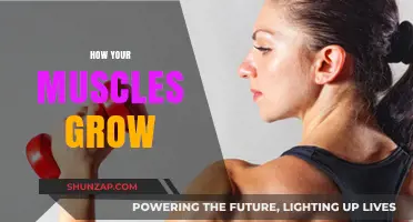 Unleash Your Strength: Understanding Muscle Growth and Development