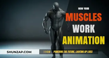 Unveiling Muscle Mechanics: A Dynamic Animation Guide to Movement
