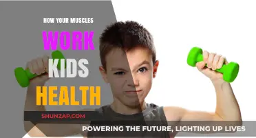 How Muscles Move You: A Kid-Friendly Guide to Muscle Power