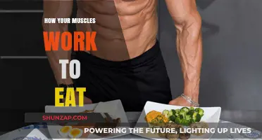 Muscles in Motion: The Fascinating Process of Eating Explained
