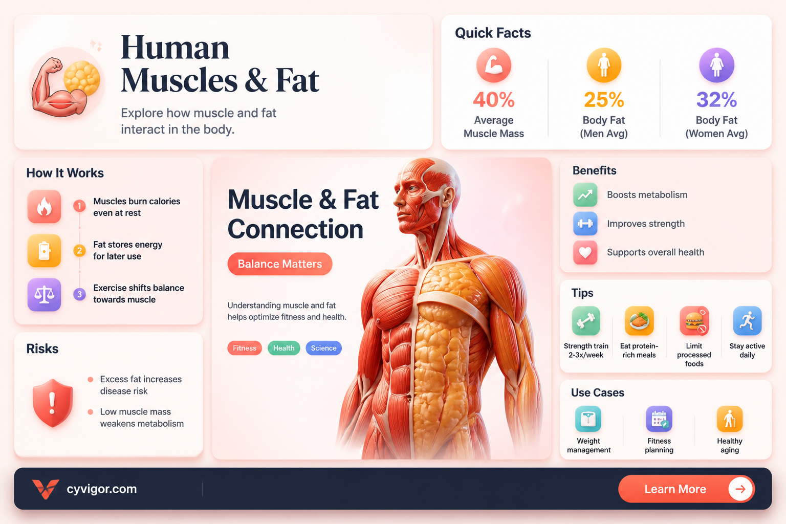 are certain human muscles fatty