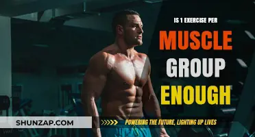 One Exercise Per Muscle Group: Sufficient or Inadequate for Growth?