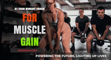 Is One Hour of Exercise Sufficient for Building Muscle Mass?