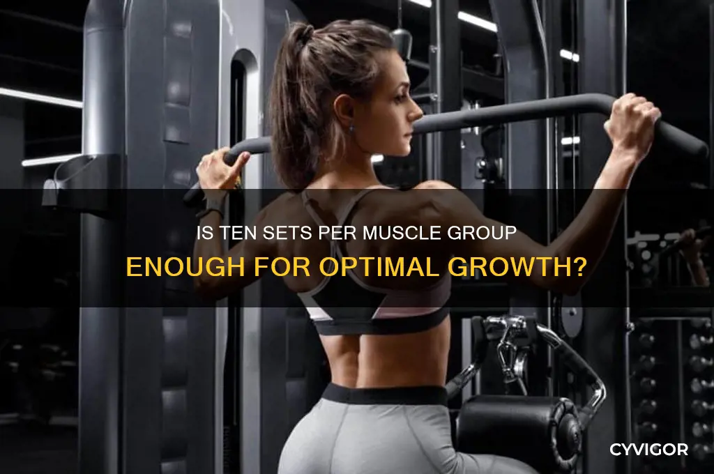 is 10 sets per muscle group enough