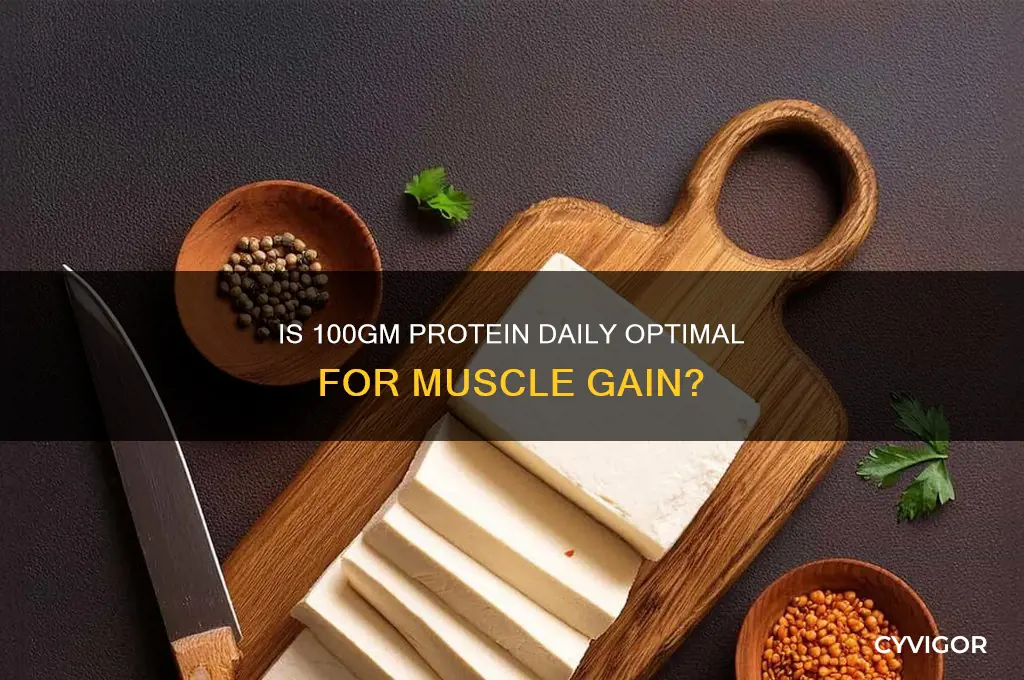 is 100 gm protein good for muscle gain