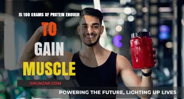 Is 100 Grams of Protein Enough for Muscle Gain?