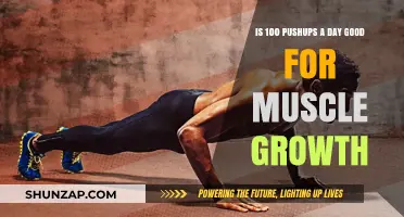 Pushups Daily: Effective for Muscle Growth or Just Endurance?