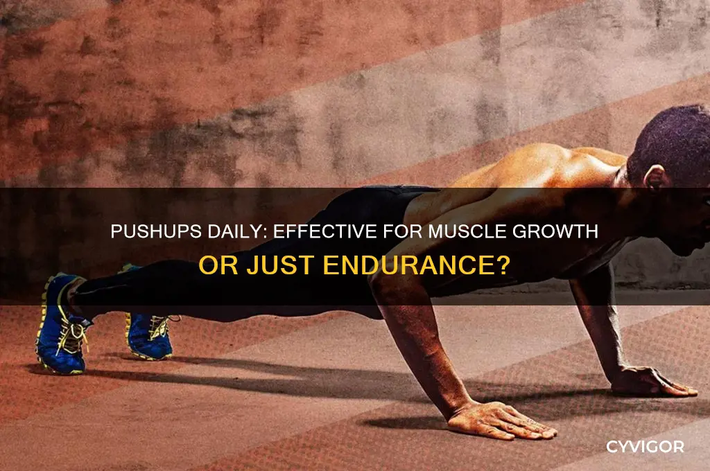 is 100 pushups a day good for muscle growth