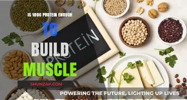 Fuel Your Gains: Is 100g of Protein Enough to Build Muscle?