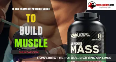 Fueling Muscle Growth: Is 120 Grams of Protein Enough?