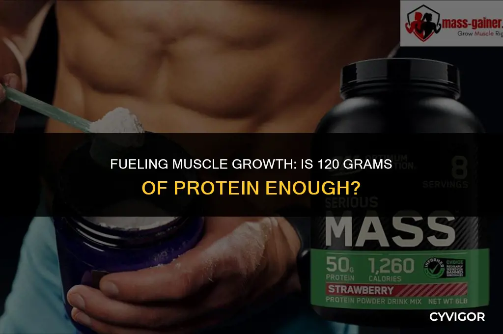 is 120 grams of protein enough to build muscle
