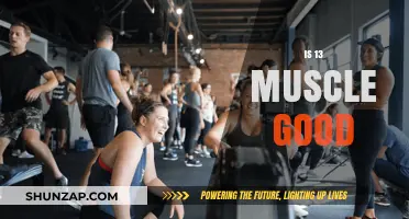Is 13 Muscle Good? Unveiling the Truth About This Fitness Trend