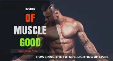 Is Gaining 14 Pounds of Muscle Impressive? Expert Insights