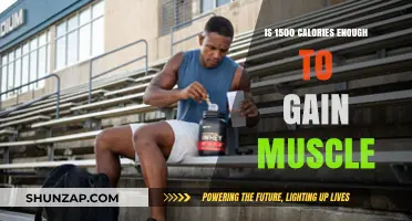 Can a 1500-Calorie Diet Support Effective Muscle Gain?