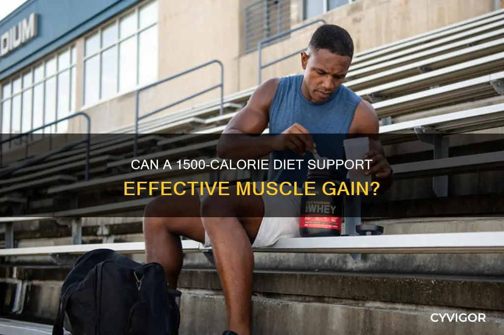 is 1500 calories enough to gain muscle