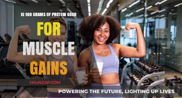 Is 160 Grams of Protein Optimal for Muscle Gains?