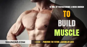 Testosterone Dosage for Muscle Building: Is 1ml a Week Enough?