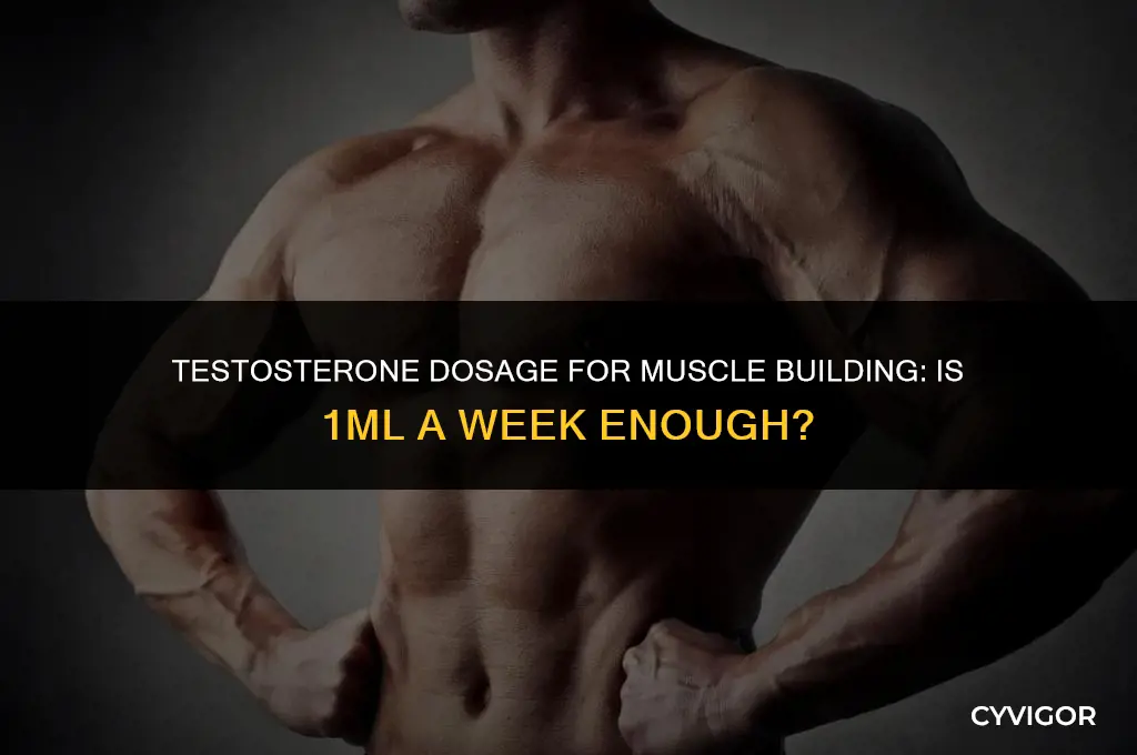 is 1ml of testosterone a week enough to build muscle