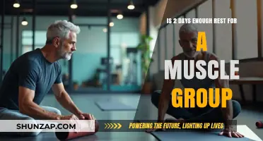 Are Two Days of Rest Sufficient for Optimal Muscle Recovery?