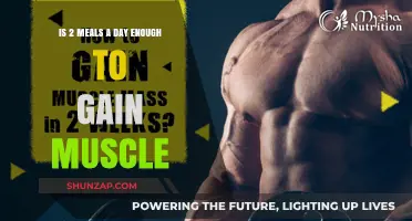 Can Eating Two Meals Daily Support Muscle Gain Effectively?