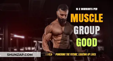 Is Training Each Muscle Group Twice Weekly Optimal for Growth?