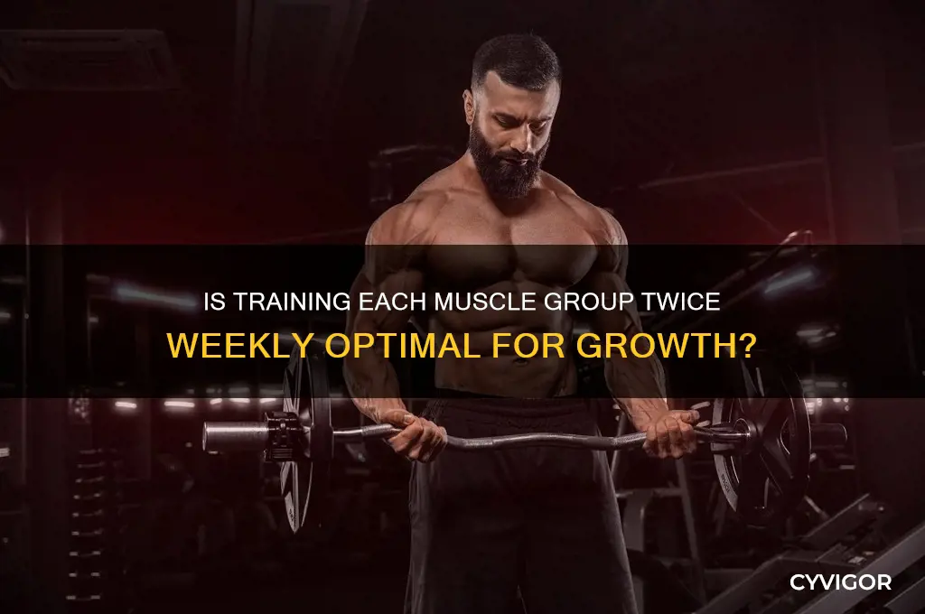 is 2 workouts per muscle group good