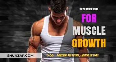 Are 20 Reps Effective for Building Muscle Mass?