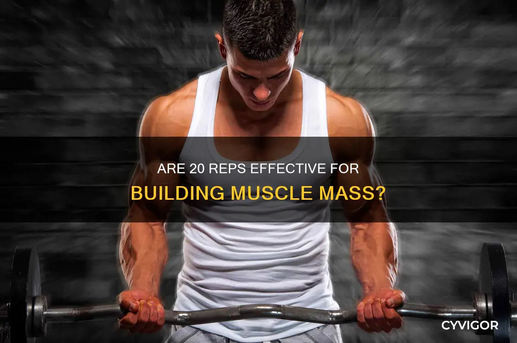 is 20 reps good for muscle growth