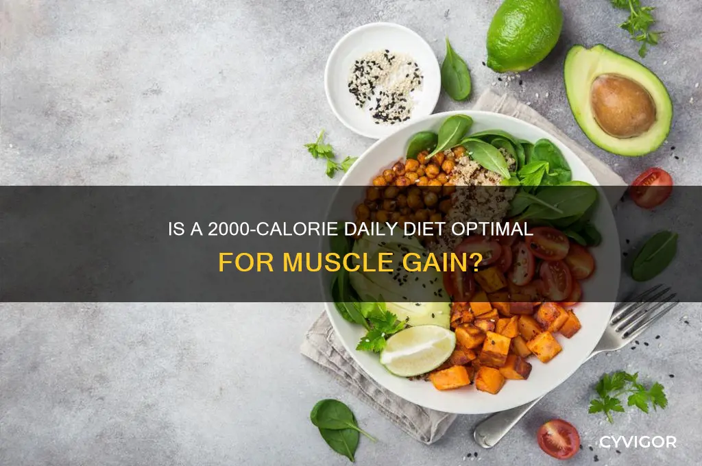 is 2000 calories a day good for muscle gain