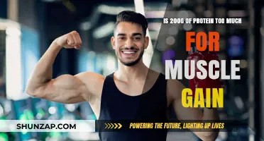 Is 200g of Protein Excessive for Effective Muscle Gain?