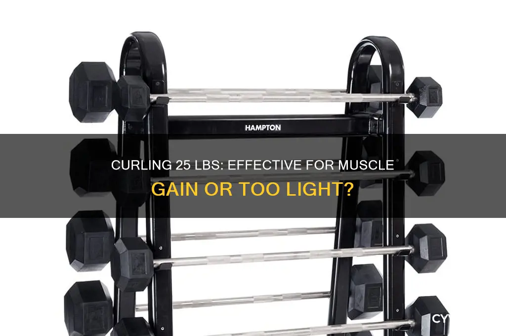 is 25 lbs enough to curl and gain muscle