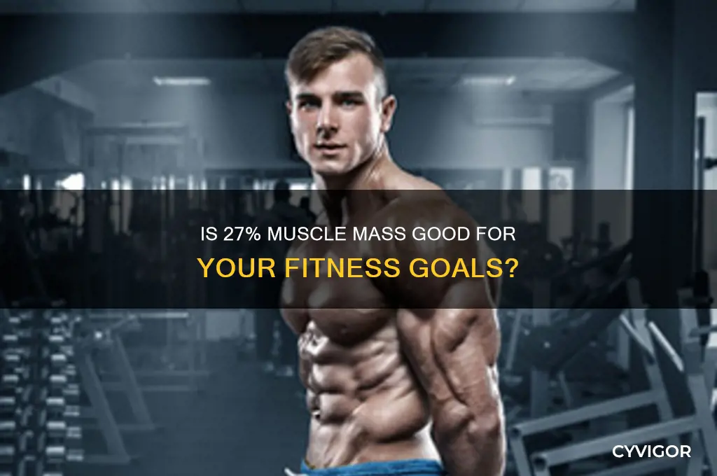 is 27 muscle mass good