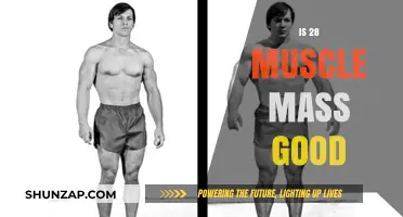 Is 28% Muscle Mass Good for Your Fitness Goals?