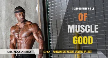 Is 280 Pounds with 95 Pounds of Muscle a Healthy Physique?