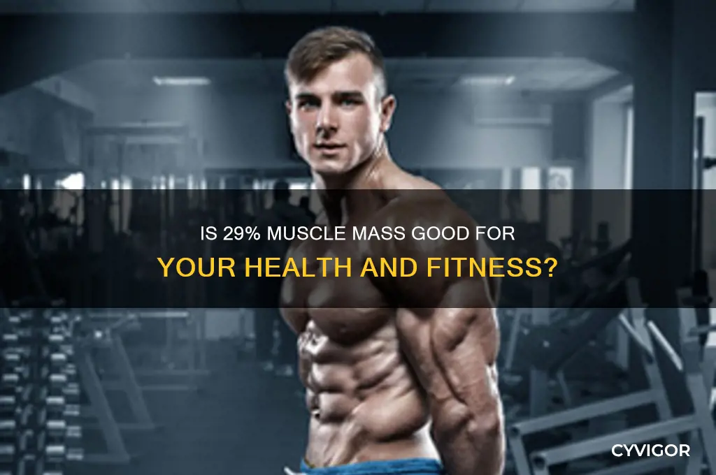 is 29 muscle mass good