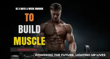 Can You Build Muscle with Just Three Days of Training a Week?