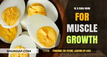 Are Three Eggs Daily Optimal for Muscle Growth? Find Out!