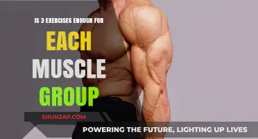 Are Three Exercises Sufficient for Optimal Muscle Group Growth?