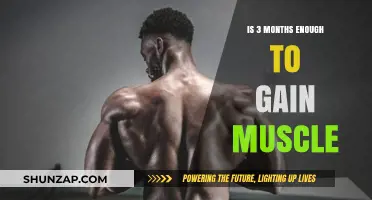 Can You Build Significant Muscle in Just Three Months?