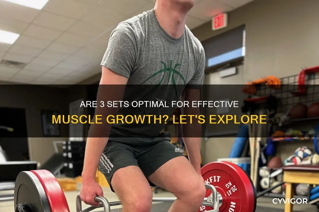 is 3 sets good for muscle growth