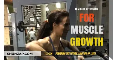 Is 3 Sets of 12 Reps Optimal for Muscle Growth?
