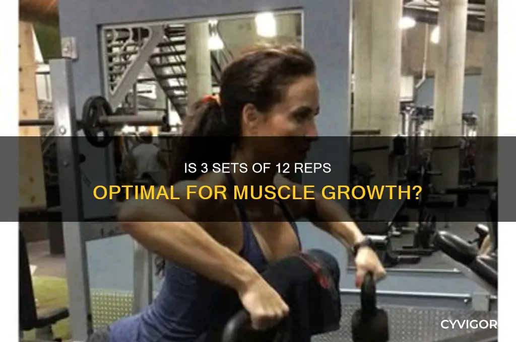 is 3 sets of 12 good for muscle growth