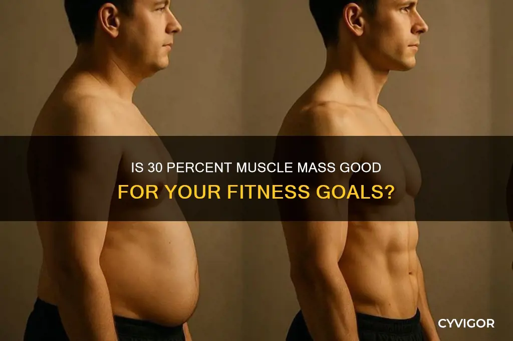 is 30 percent muscle mass good