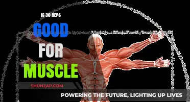 Is 30 Reps Effective for Muscle Growth? Unveiling the Truth