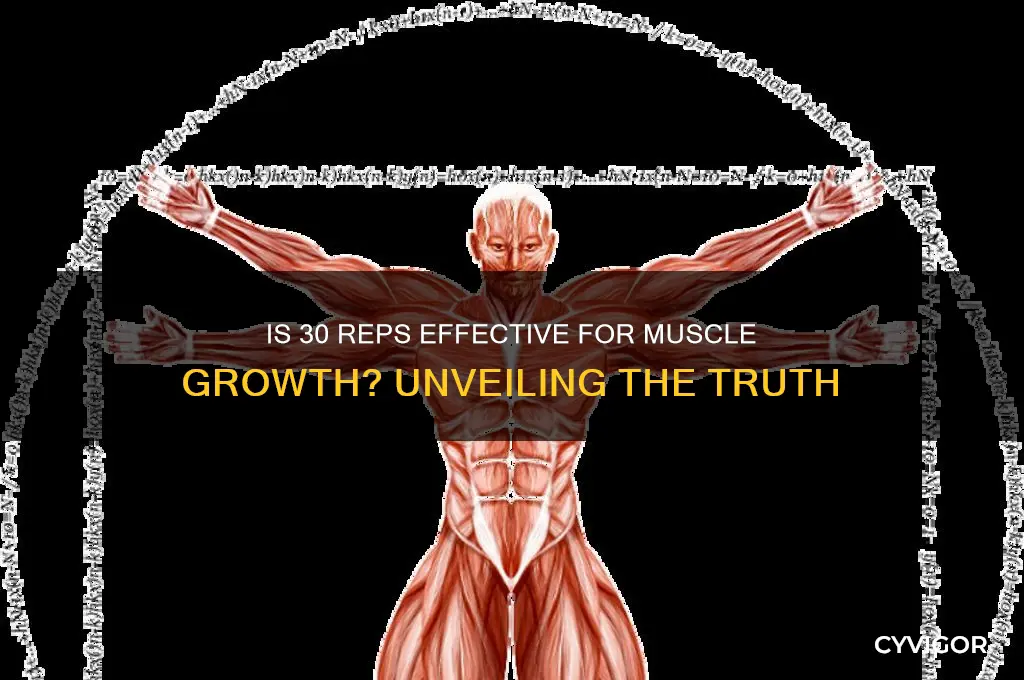 is 30 reps good for muscle