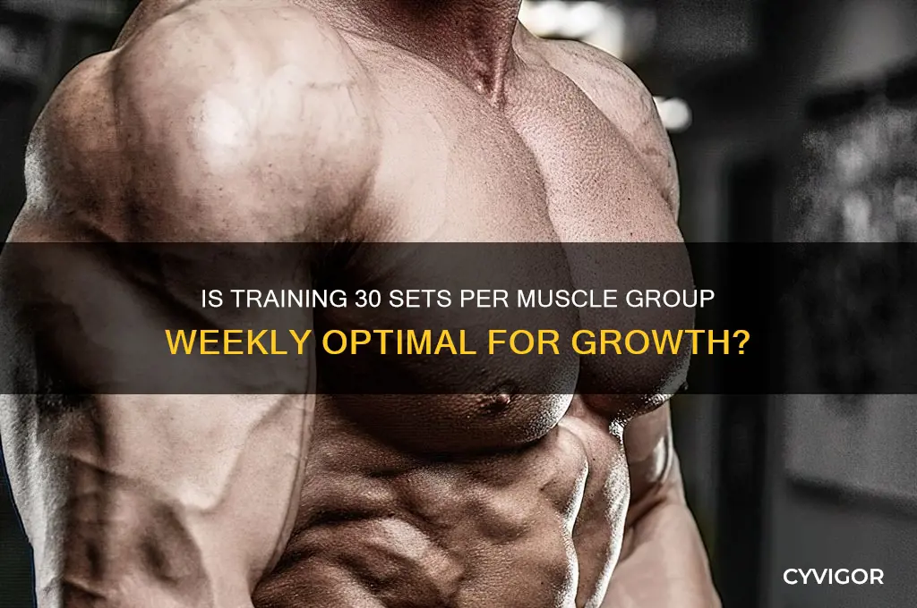 is 30 sets a muscle group per week